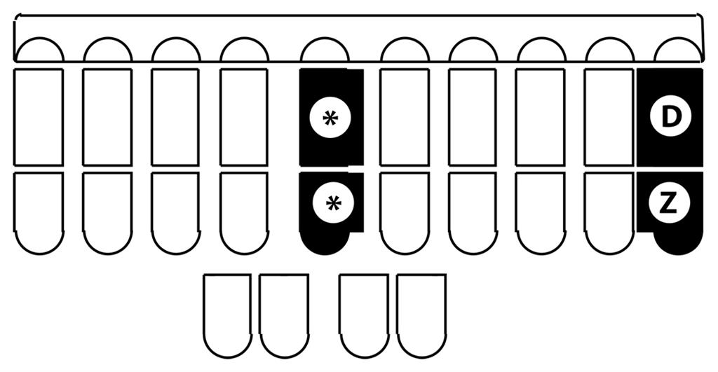38616_Wide-DZ-wide-Asterik.jpg