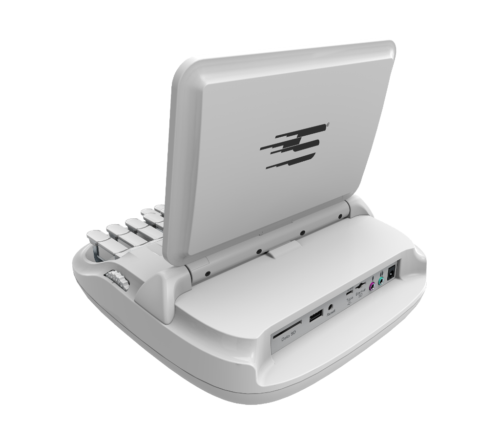 Synthesis essay example picture